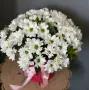 Летопись любви