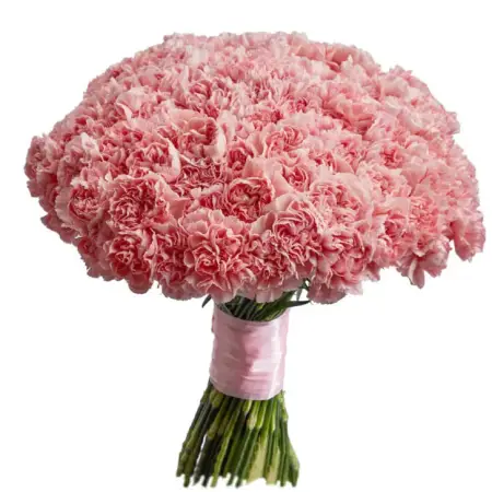 Моно букет из розовых гвоздик