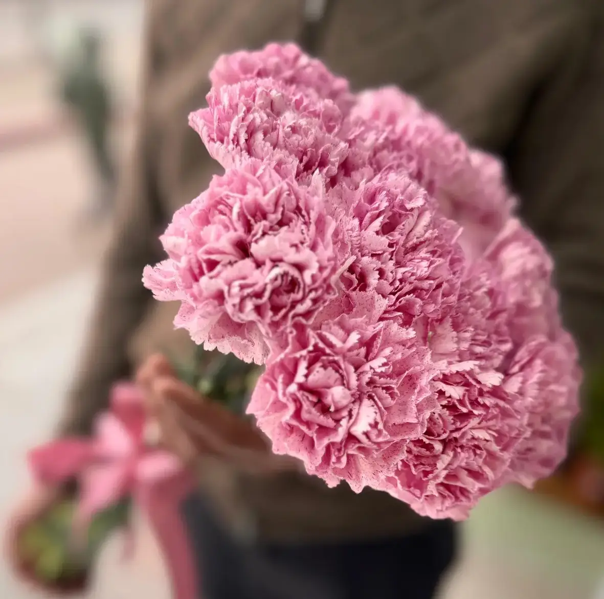 Букет из 15 розовых гвоздик под ленту