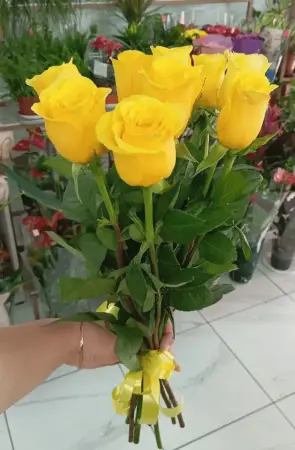 Букет из 9 желтых роз под ленту