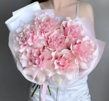 Французская нежность